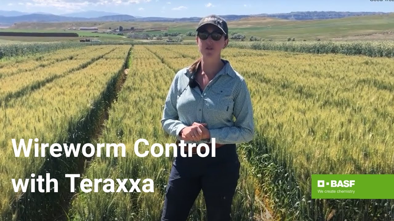 Reddy Anna ID: Unlocking Identity, Heritage, and Community Impact – A Comprehensive Overview